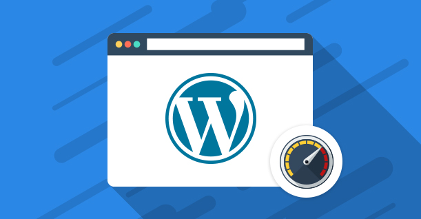 wordpress site hızlandırma eklentileri 2022