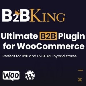 B2BKing The Ultimate WooCommerce B2B