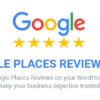 google places reviews pro