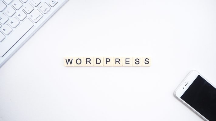 wordpress kurumsal tema satın al